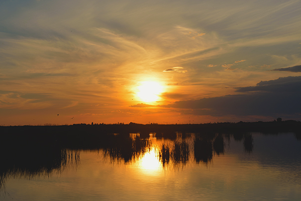 DSC_0274.JPG