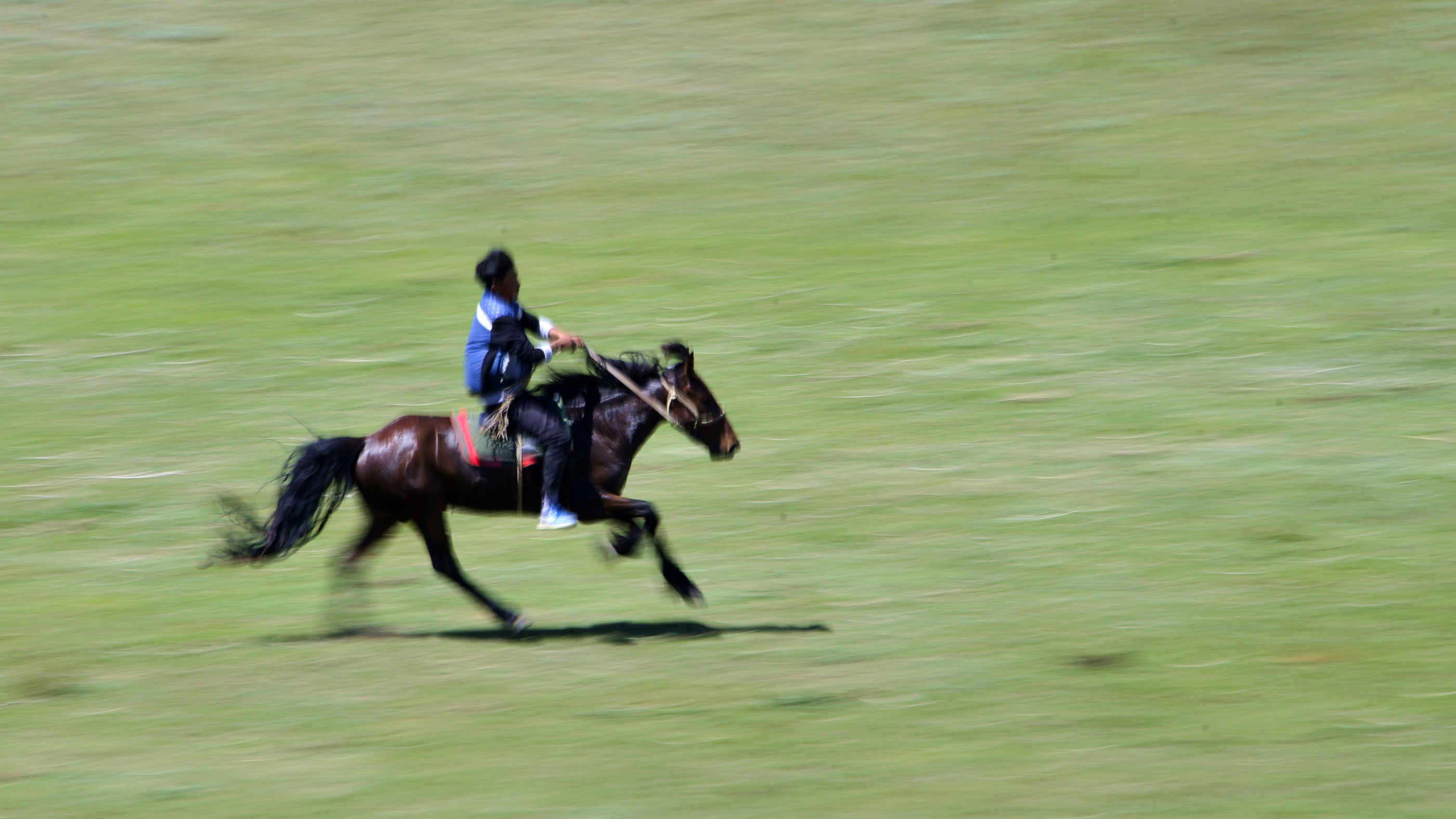 _DSC02484.jpg
