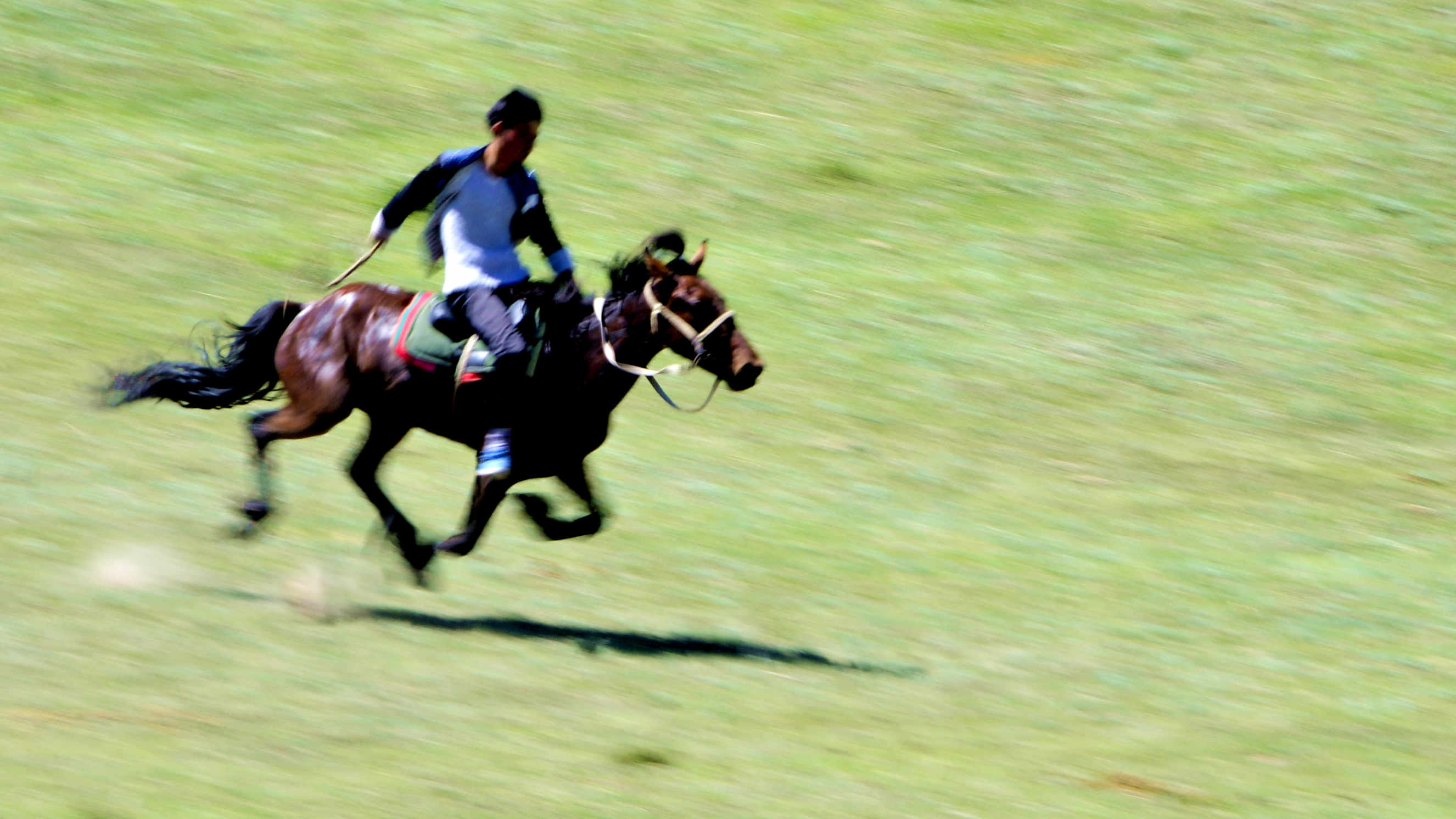 _DSC0282.jpg