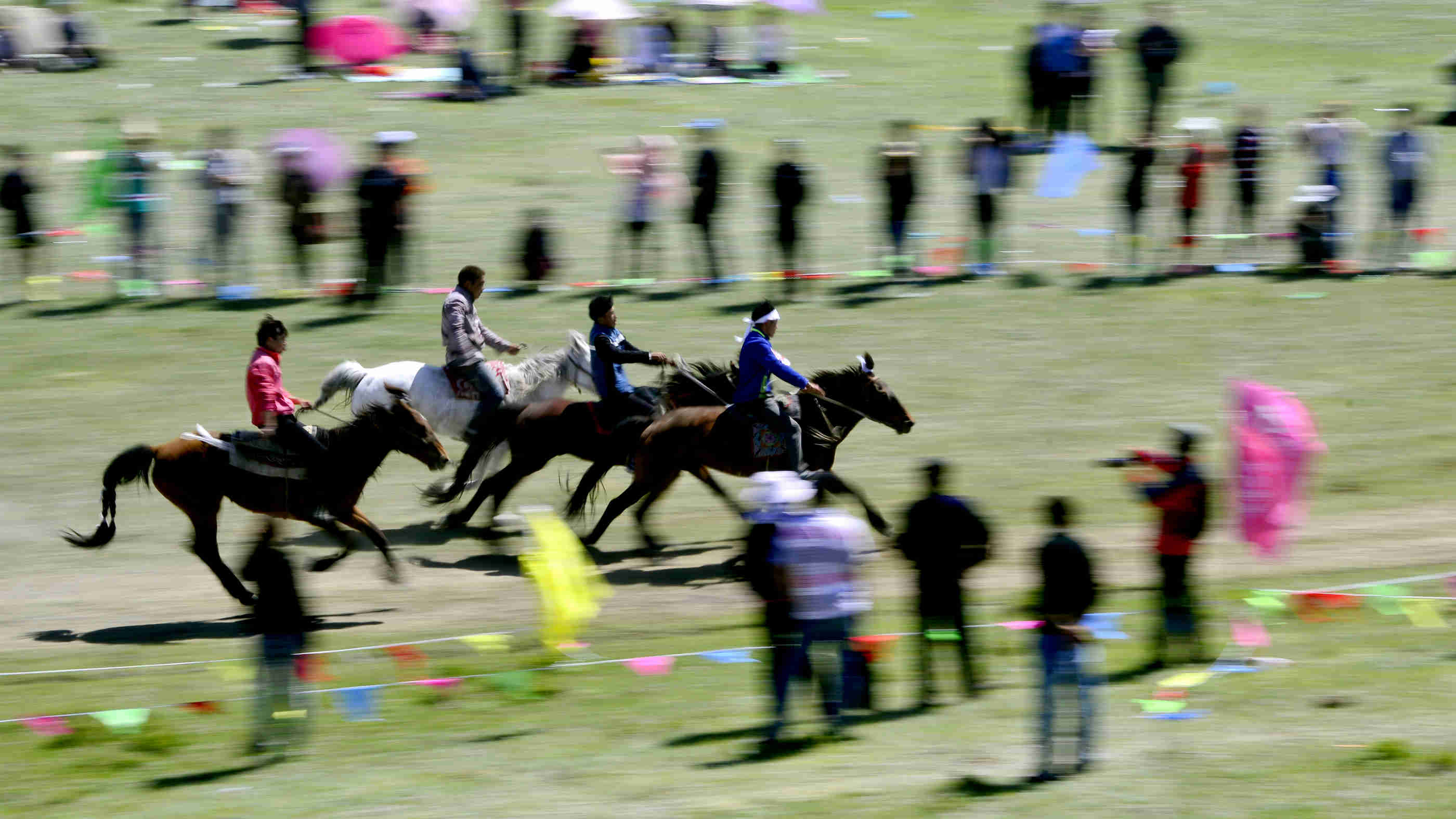 _DSC0163.jpg