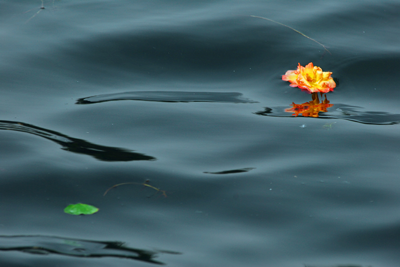 SZH_0232_.jpg