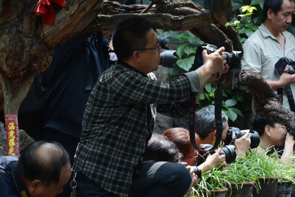 DSC_6803_conew1.jpg