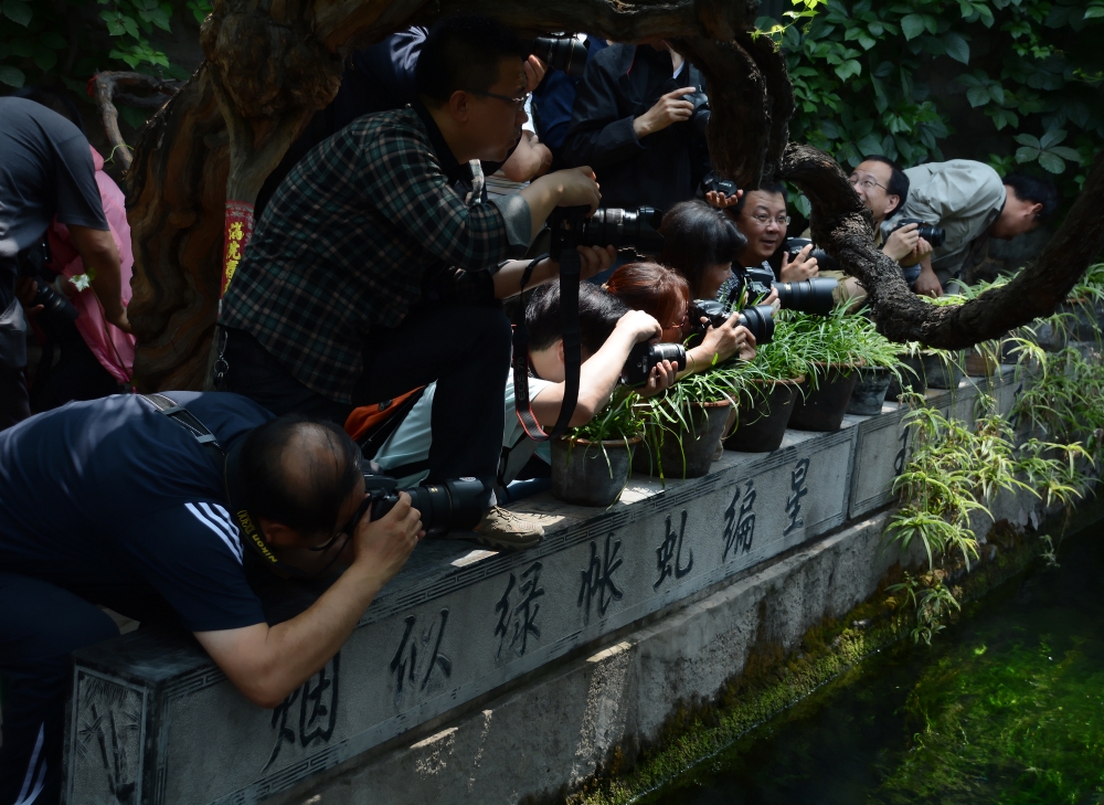 DSC_6806_conew1.jpg