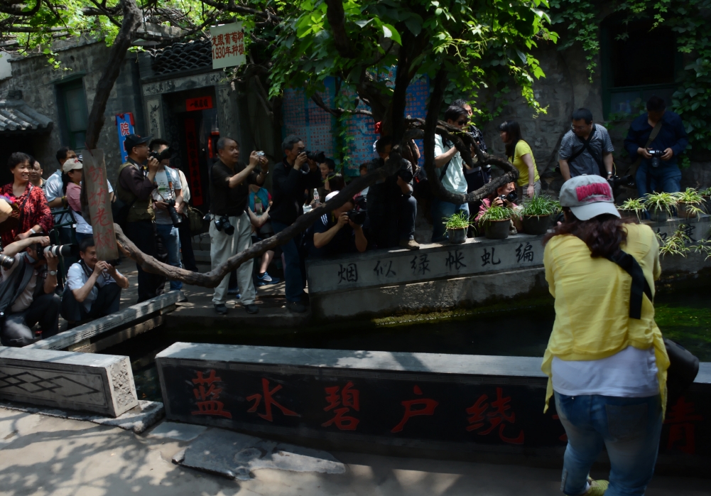 DSC_6810_conew1.jpg