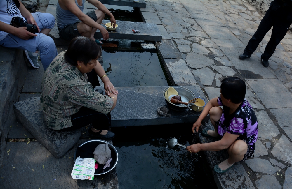 DSC_6833_conew1.jpg