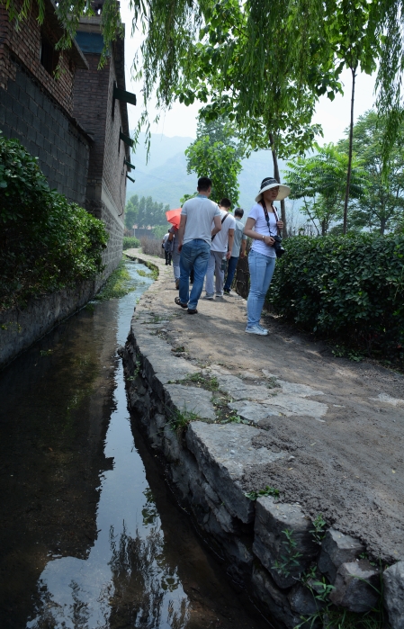 DSC_6834_conew1.jpg