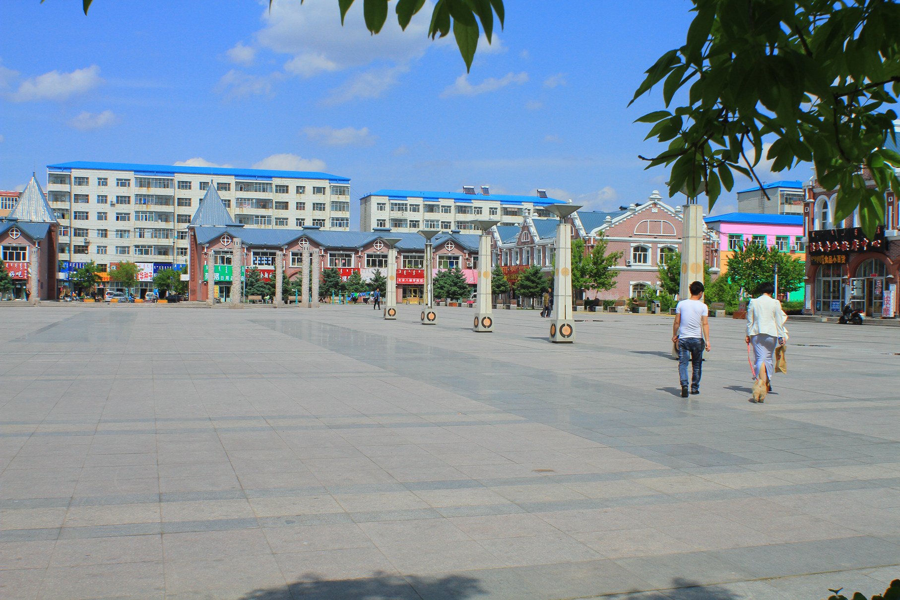 IMG_7994_.jpg
