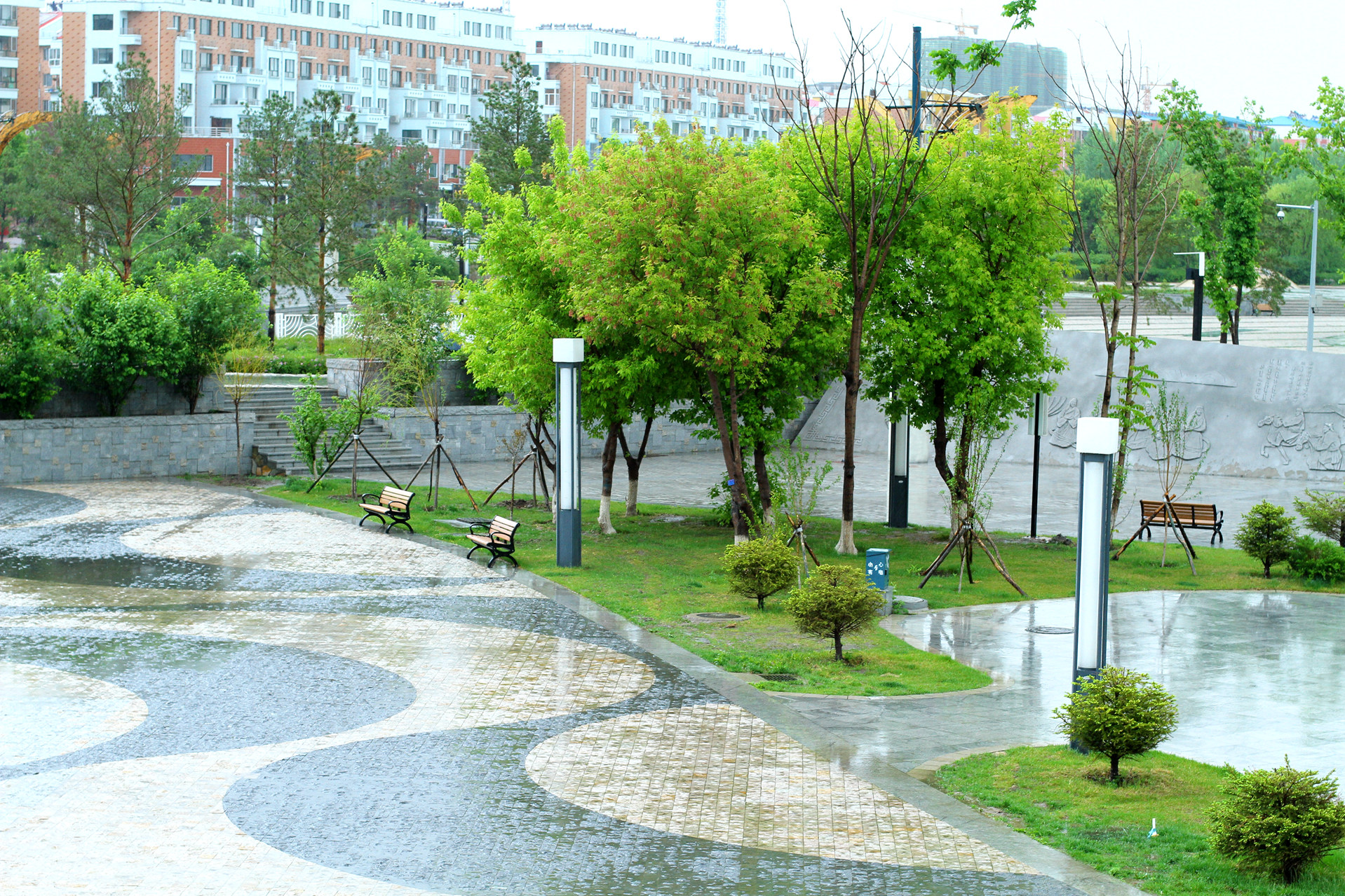 IMG_8278_.jpg