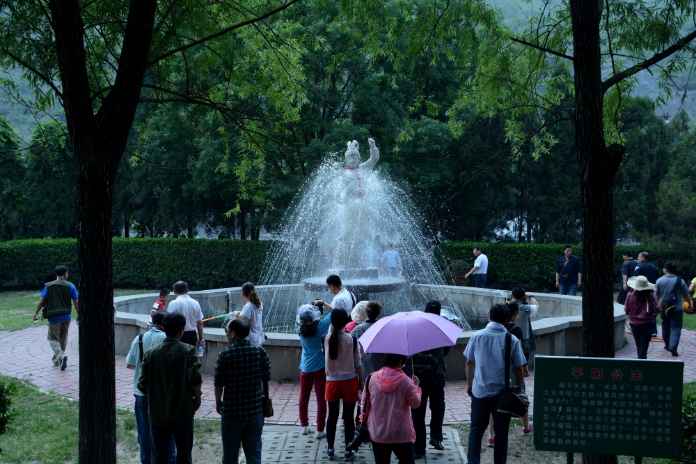 DSC_6865_conew1.jpg