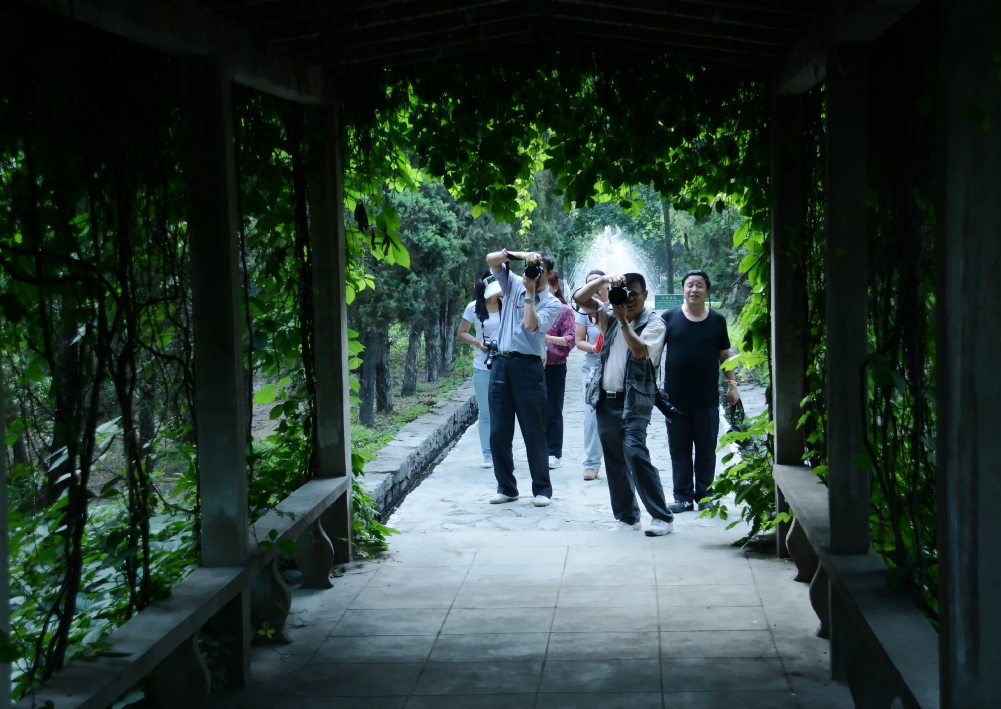 DSC_6900_conew1.jpg