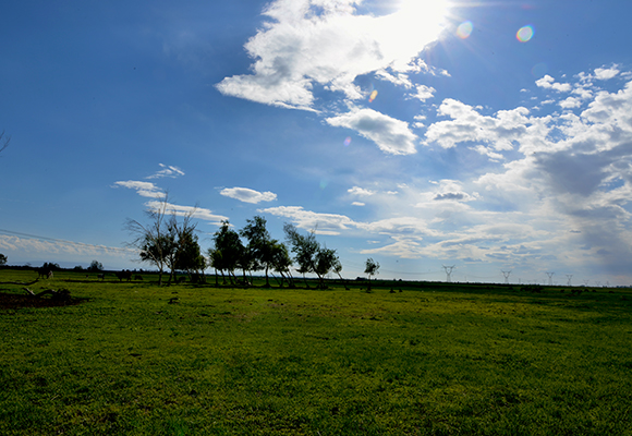 DSC_0054.JPG