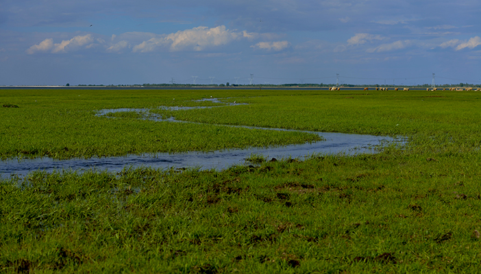 DSC_0077.JPG