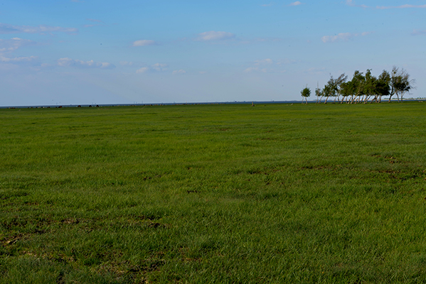 DSC_0131.JPG