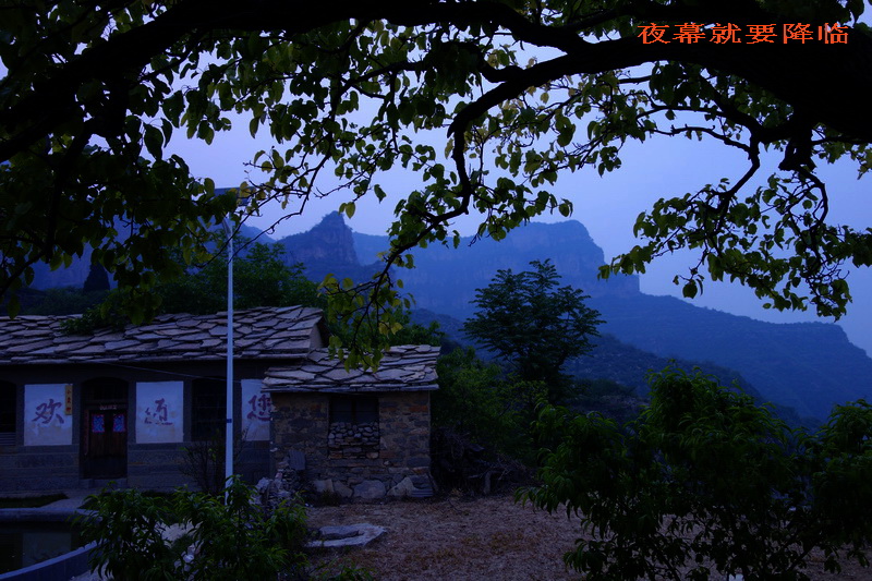 DSC08844.jpg