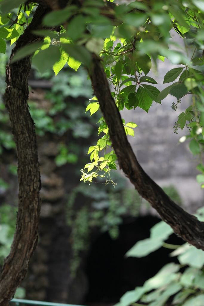 IMG_738533.jpg