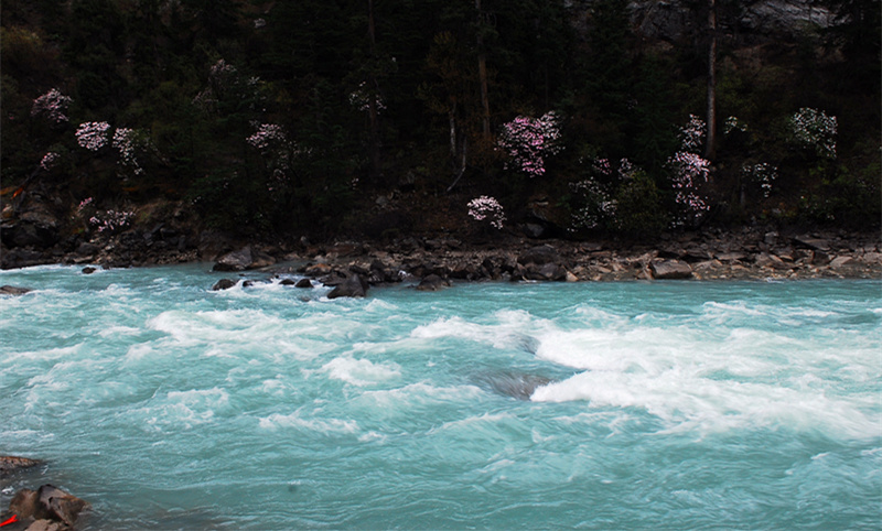 DSC_0835_.jpg