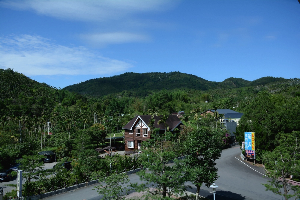 DSC_5294_conew1.jpg