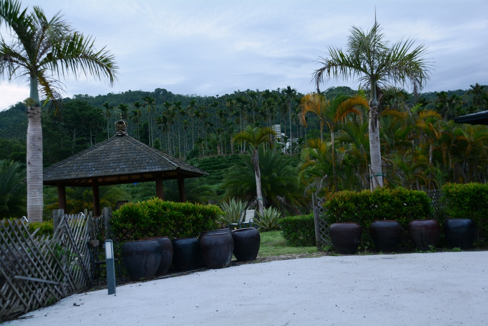 DSC_5209_conew1.jpg