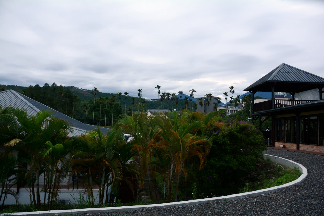 DSC_5221_conew1.jpg