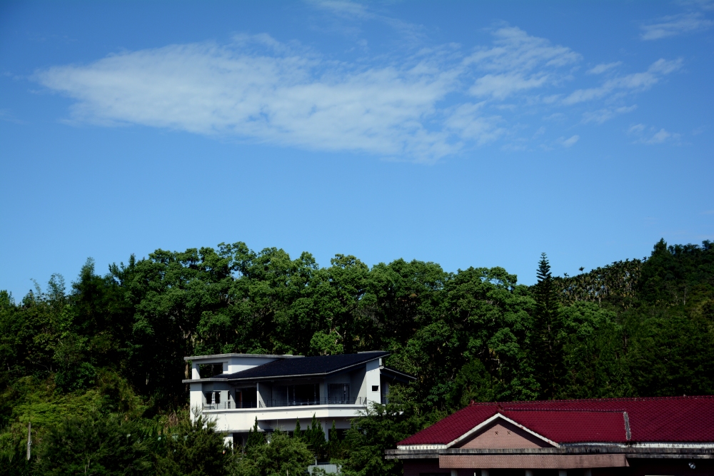 DSC_5280_conew1.jpg