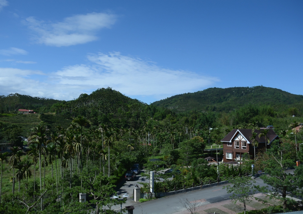 DSC_5292_conew1.jpg