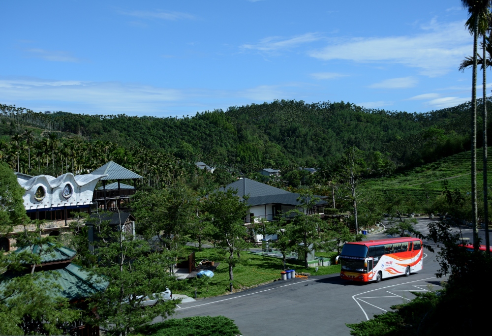 DSC_5286_conew1.jpg