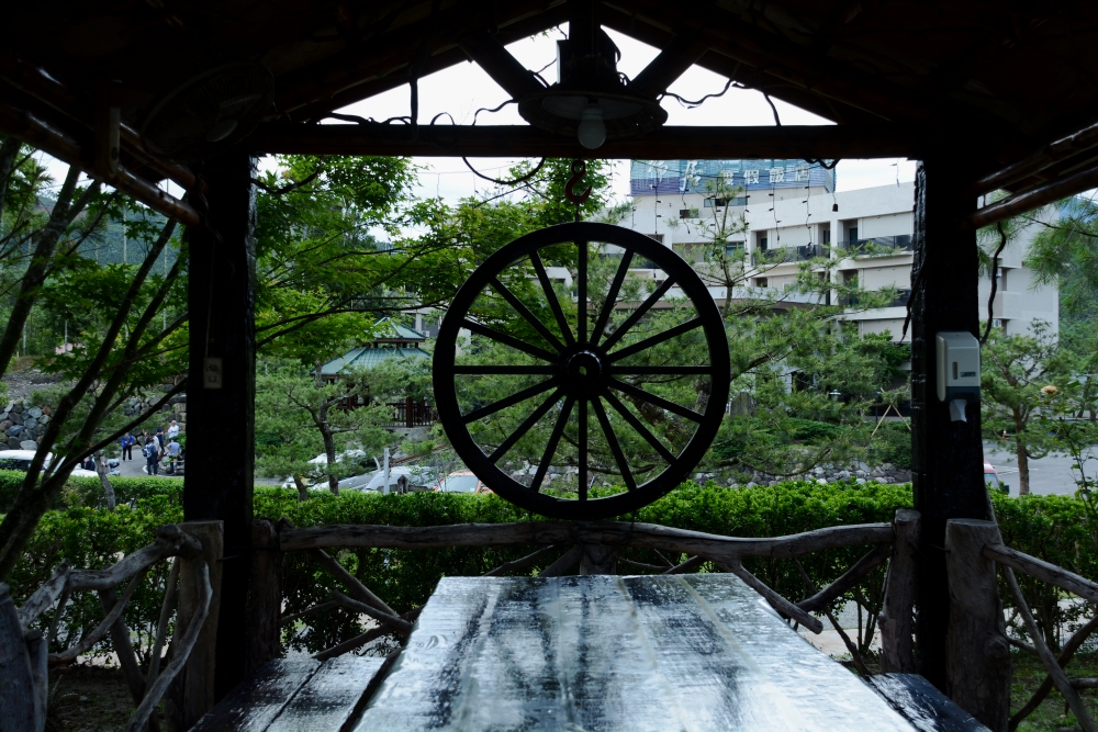 DSC_5273_conew1.jpg