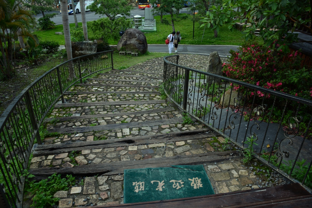 DSC_5238_conew1.jpg
