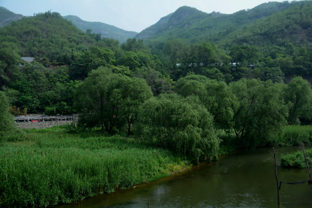 Ƭ 088_conew1.jpg