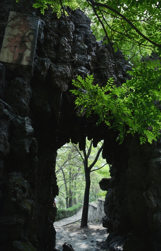 Ƭ 092_conew1.jpg