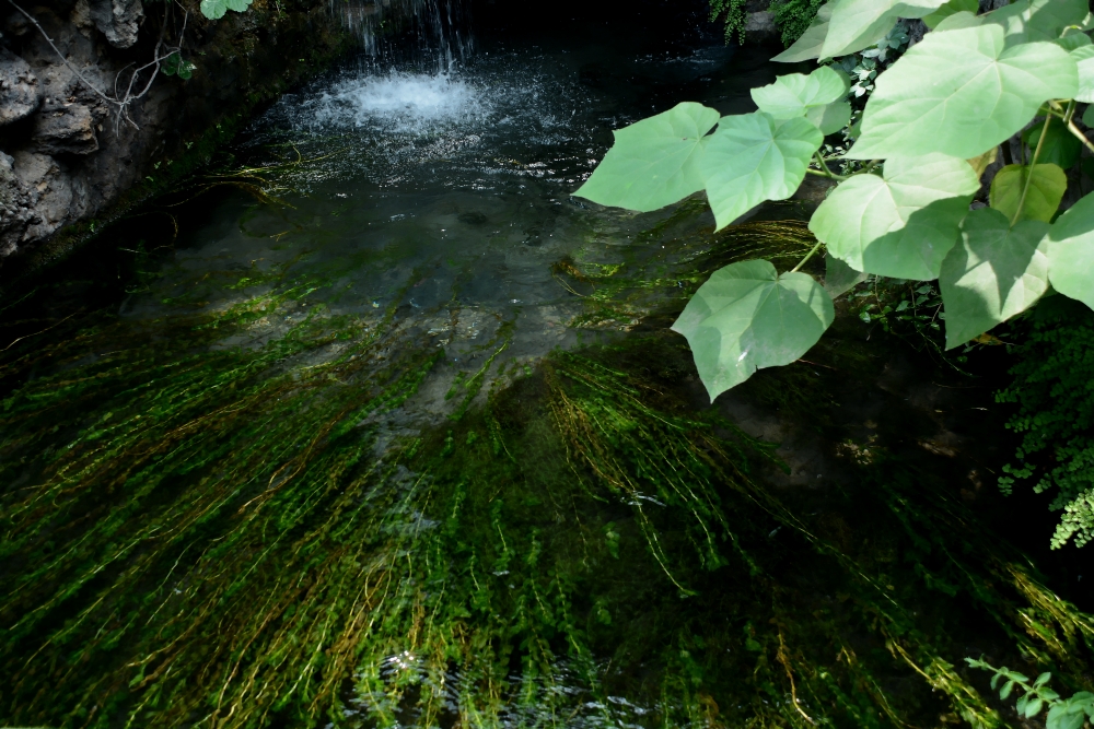 DSC_6819_conew3.jpg