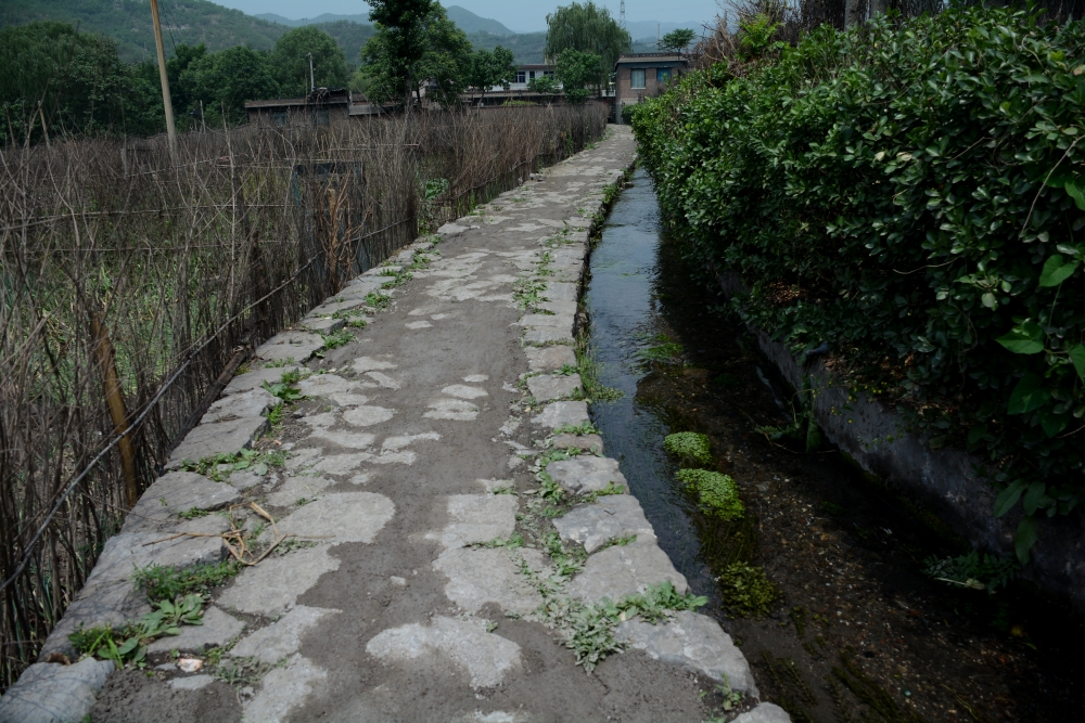 DSC_6838_conew1.jpg