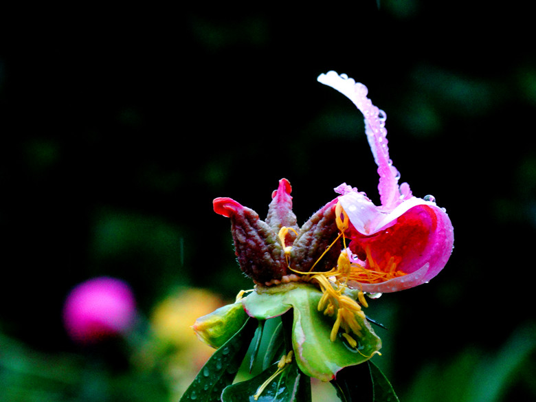 DSC00302_.jpg