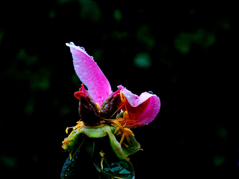 DSC00303_.jpg