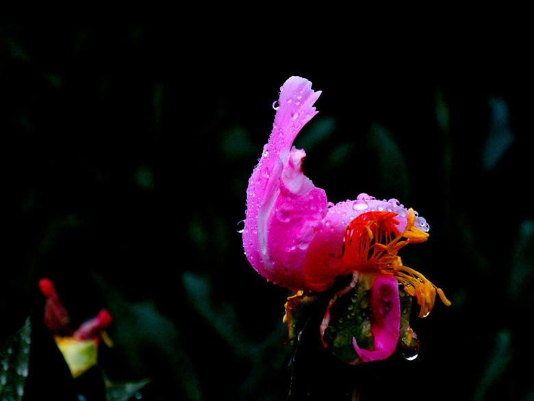 DSC00307_.jpg