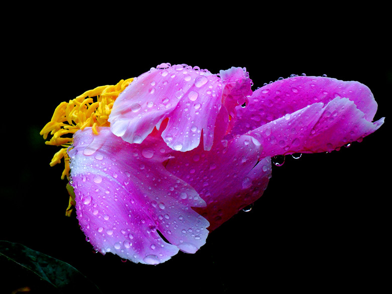 DSC00312_.jpg