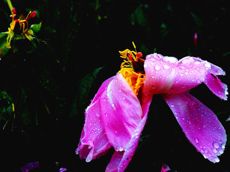 DSC00317_.jpg