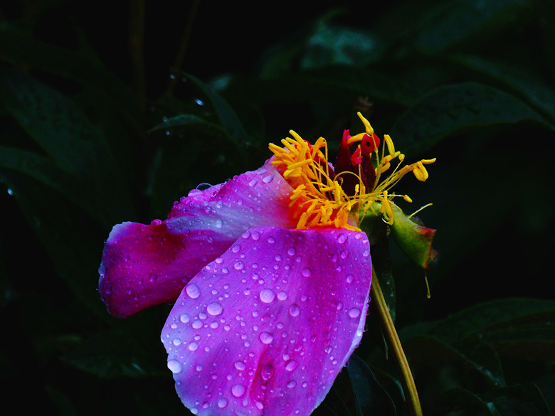 DSC00322_.jpg