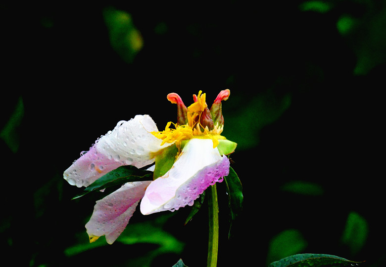 DSC00324__.jpg