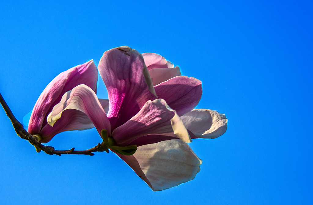 DSC_0018.jpg