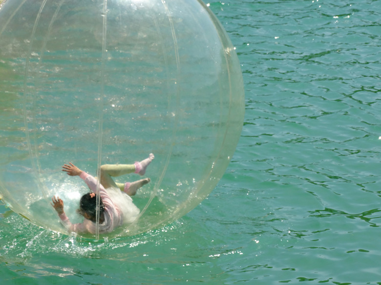 DSC00527_.jpg