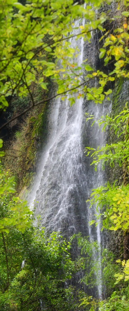 DSC_1797 .jpg