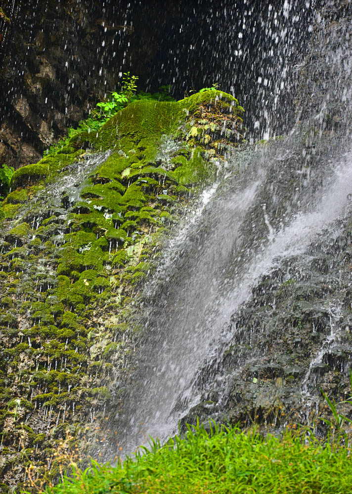 DSC_1813 .jpg