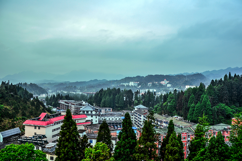 DSC_0220.JPG