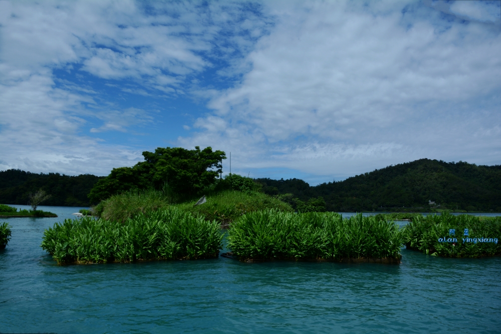 DSC_5343_conew1.jpg