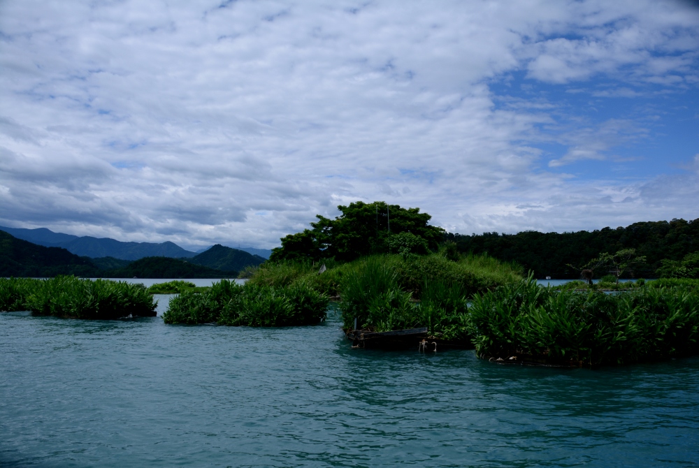 DSC_5341_conew1.jpg