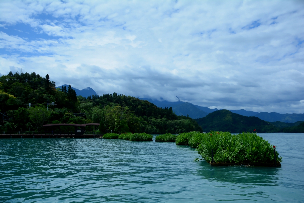 DSC_5357_conew1.jpg