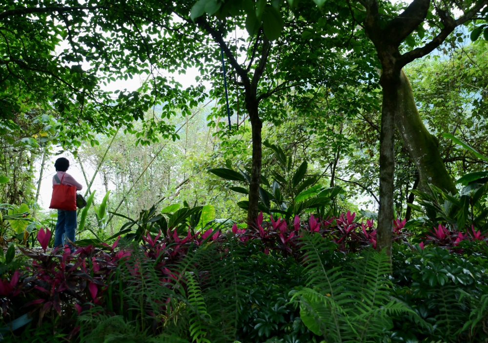DSC_5398_conew1.jpg