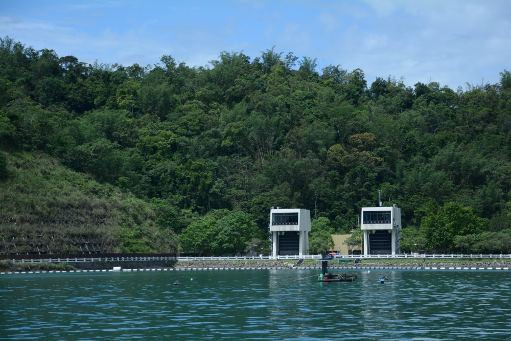 DSC_5349_conew1.jpg