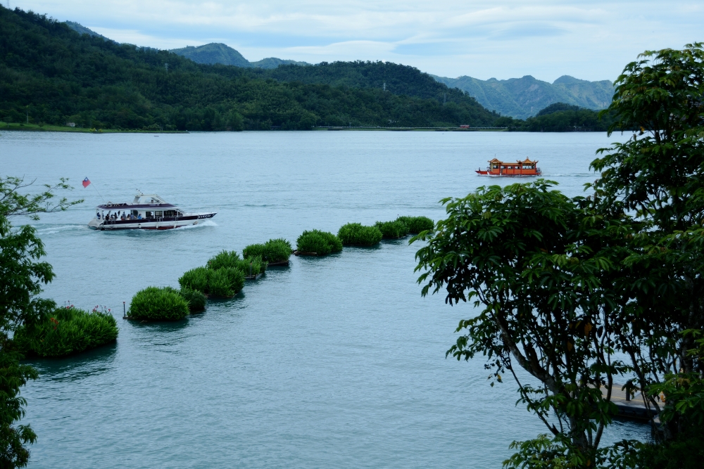 DSC_5408_conew1.jpg